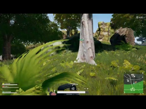 Infamous.timado play this Bara . In ranked 19th