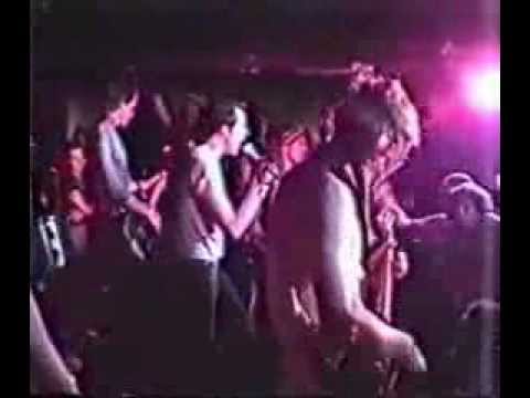 Dwarves video