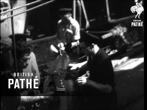 Polish Navy In Action (1942)