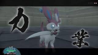 全力で楽しむLegendsアルセウス