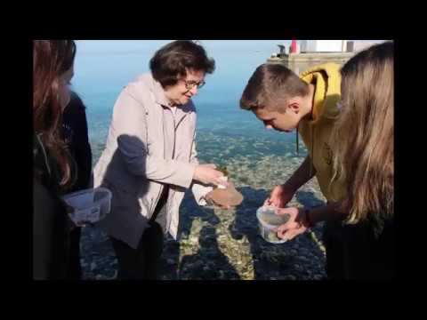 Projektni dan Voda na Gimnaziji Koper