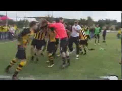 SpVgg Bayreuth - TSV Aindling 2:1 - Bayernliga - bayreuth.tv-Bericht