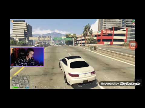 SVAJDA GALA KSY I EURODRMEX *PANAMA RP*