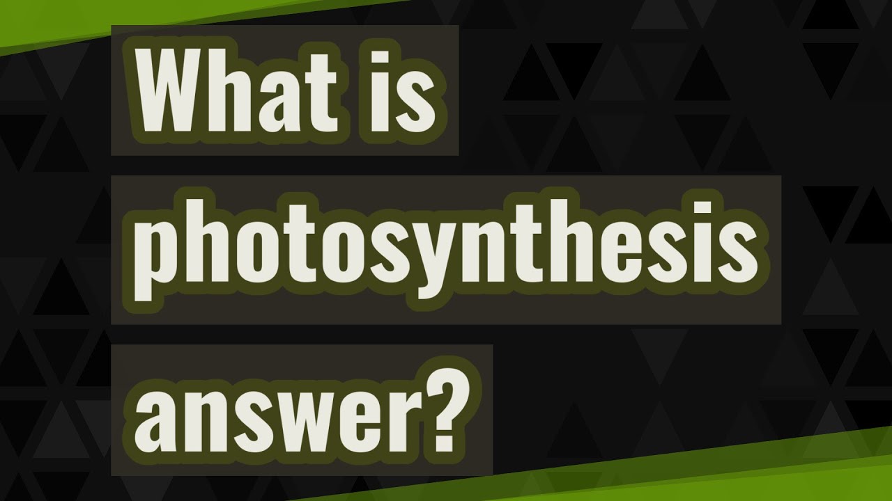 What is photosynthesis answer