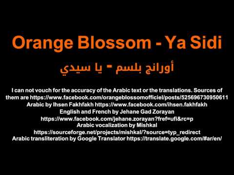 Orange Blossom - Ya Sidi أورانج بلسم - يا سيدي Netflix Marseille LYRICS FRANÇAIS/العربية/ENGLISH