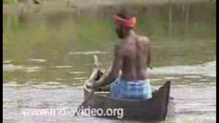 Aquaculture at Kumbalangi Tourism Village 
