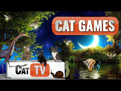 CAT Games  | 🪲 Peaceful Night Critters | Dark Screen Videos For Cats to Watch to Sleep and Relax 😼