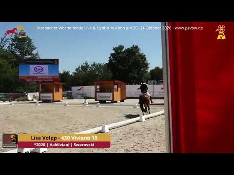 youtube preview