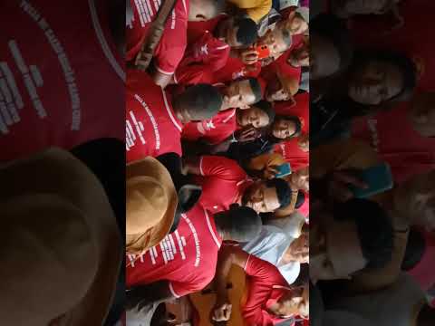 Folia d Paraná Tocantins Canto do Cruzeiro 2026