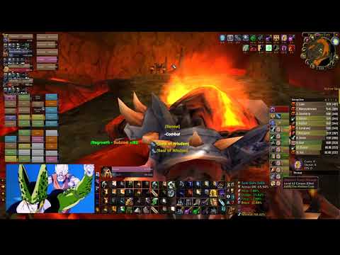 Molten Core Full Clear - Paladin Tank PoV