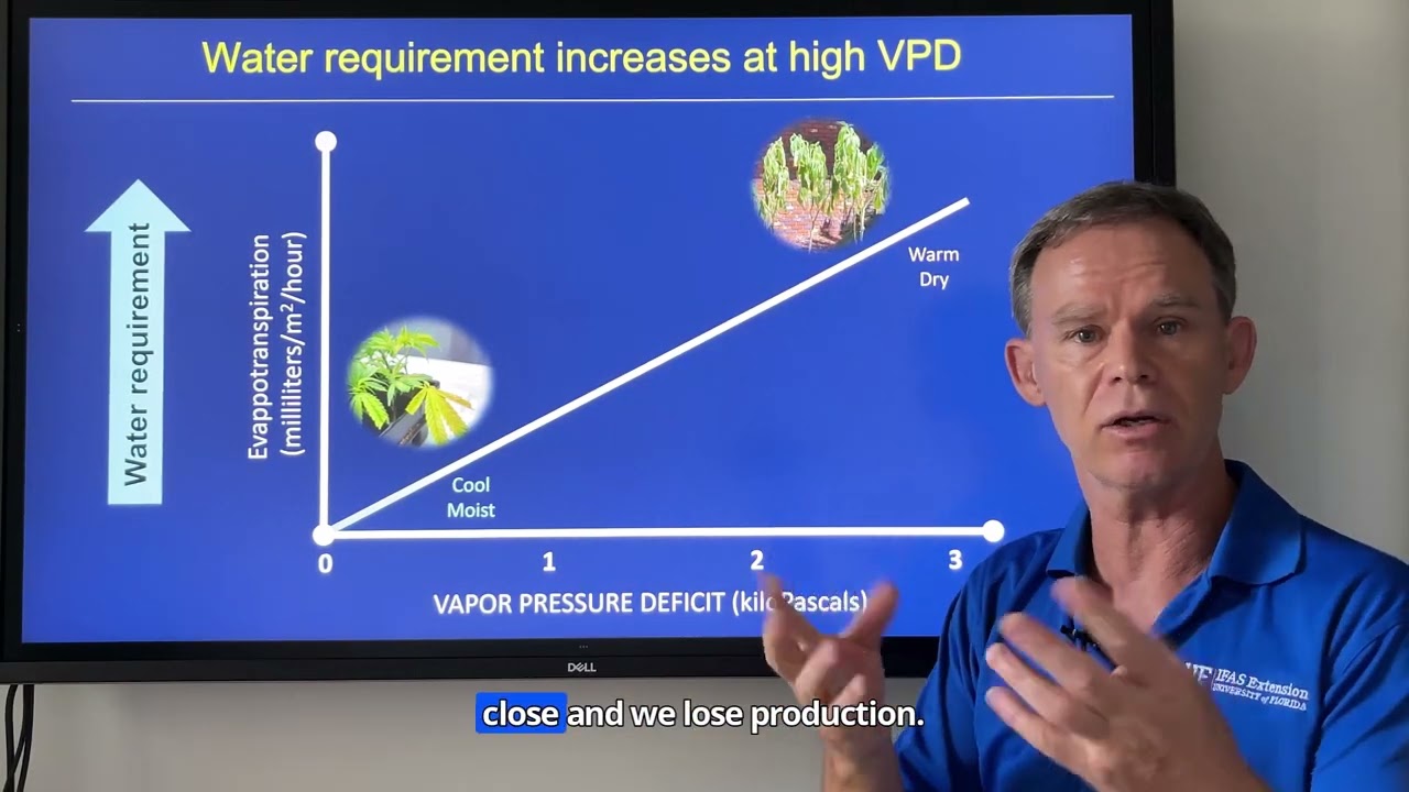 Vapor Pressure Deficit (VPD) calculator in BackPocketGrower.org