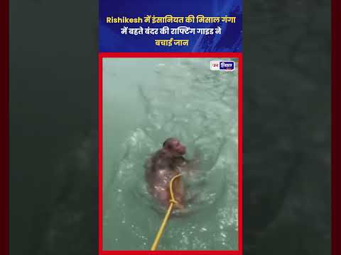 Rishikesh Ganga Rescue: बंदर को राफ्टिंग टीम ने बचाया