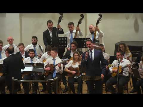 5. GM Adalbert Marković - Dalmatinska elegija - Zvonko Špišić (solist Đani Stipaničev)