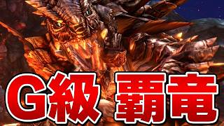 過去作モンハンのラスボス！G級覇竜「アカムトルム』って知ってるか？【MHXX】