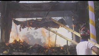 The Prinz is dead in Bali video