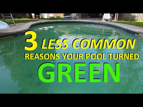 3 Less Common Reasons Your Pool Water Is Green