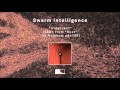 Swarm Intelligence "Iridescent" 