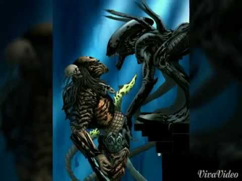 Alien vs predator video