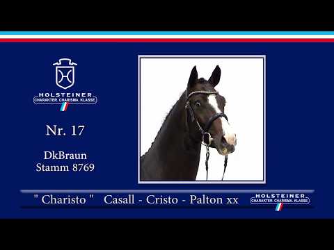 Holsteiner Körlot 2018 | Nr. 17 - CHARISTO v. Casall - Cristo