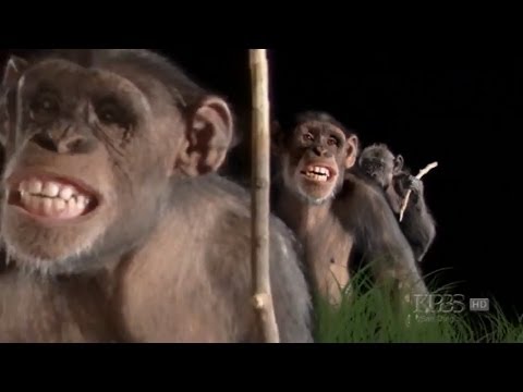 Information, Evolution, and intelligent Design - With Daniel Dennett