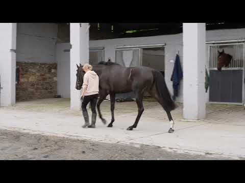 Video 1