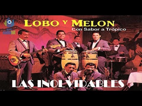 Mix de 11 exitos Inolvidables del Lobo y Melon