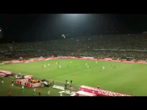 "La ola y el ole de la hinchada Verdolaga - Clásico 284" Barra: Los del Sur • Club: Atlético Nacional