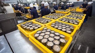 How it made Canned Tuna processing line in Factory