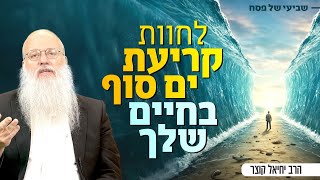 שביעי של פסח: כיצד לראות ניסים בחיים שלך בכל יום מחדש (הרב יחיאל קוצר) - התמונה מוצגת ישירות מתוך אתר האינטרנט יוטיוב. זכויות היוצרים בתמונה שייכות ליוצרה. קישור קרדיט למקור התוכן נמצא בתוך דף הסרטון