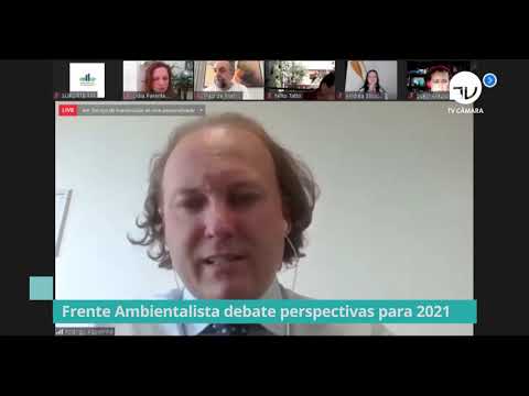 Frente Parlamentar Ambientalista debate perspectivas para 2021 - 28/12/20