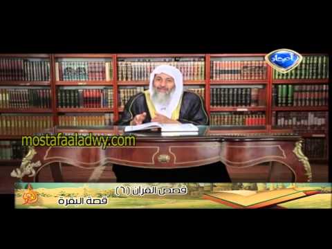  قصص القرآن 6 قصة البقرة 