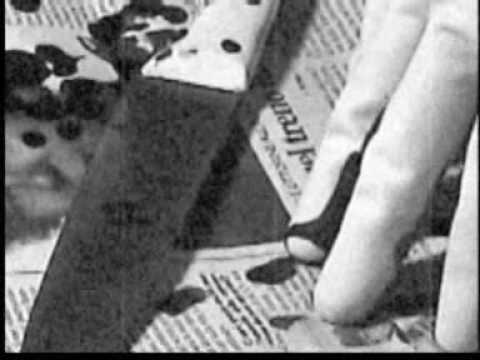 L' Assassino ha le mani pulite (2008) di Walter Salami Jr - Trailer