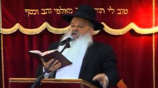 מעלת השלום והאחדות | בין אדם לחברו | הרב דניאל זר