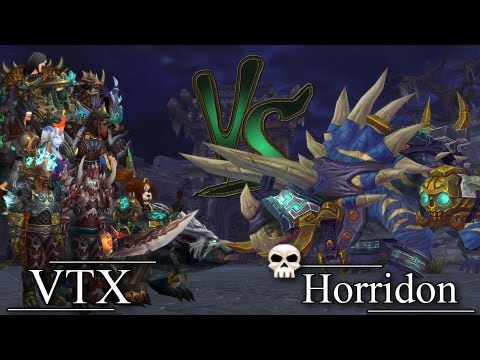 VTX vs. Horridon (10 Heroic) - Hunter PoV