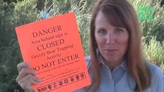 The Grizzly Game: Trapping an endangered bear