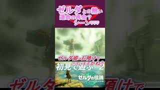 【ティアキン】ゼルダとの感動の再会？かと思ったけどしばらくお預けで禁断症状が出た実況主の記録 #shorts