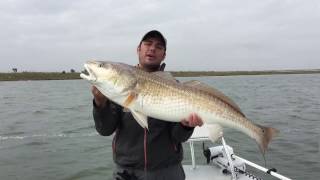 Fishing for Giant Trophy Redfish in the Texas Land Cut on light tackle