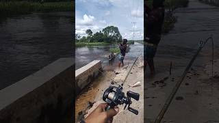 Download lagu new technique for fishing in flowing water #fishing #fishing #shorts #fish mp3
