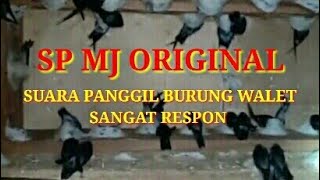 Download lagu SP MJ ORIGINAL || SUARA PANGGIL BURUNG WALET SANGAT RESPON mp3 Download lagu SP MJ ORIGINAL || SUARA PANGGIL BURUNG WALET SANGAT RESPON mp3