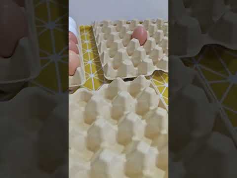 We supply egg cartons with high quality and comoetitive price~ #ecofriendly #sustainable #eggtray