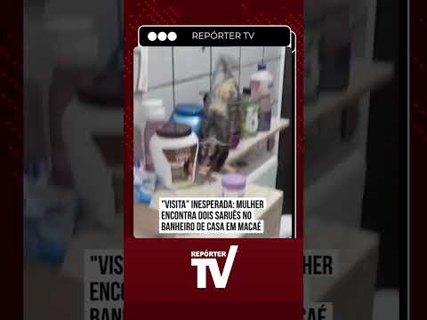 Moradora flagra dois saruês 