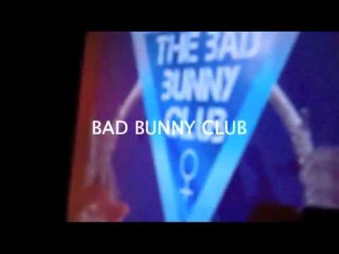 THE BAD BUNNY CLUB - 17.11.2012 @ Circus Maximus - Koblenz