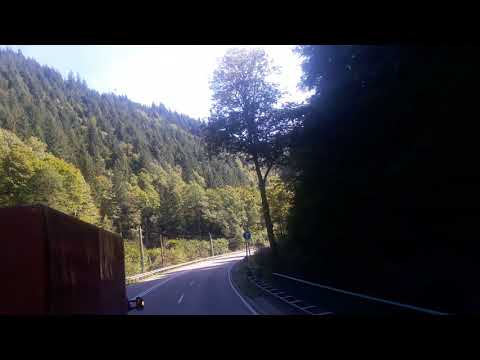 Muntii Pădurea Neagră.