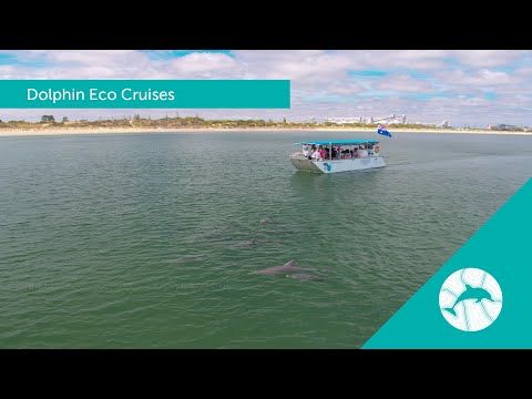 Dolphin Discovery Centre Bunbury