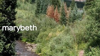 Cover art for Marybeth - Blake Roman (Angel Dust's new VA)