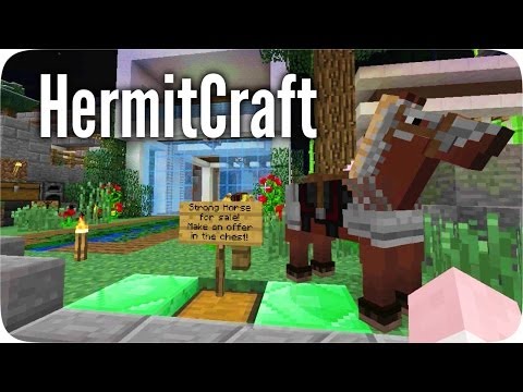 HermitCraft Minecraft Server - Skyzm Will Kill Pungence