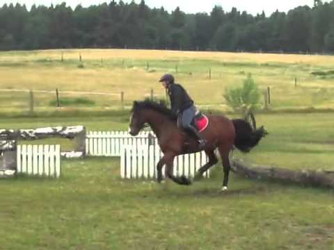 Gwydion XC training 2  140615