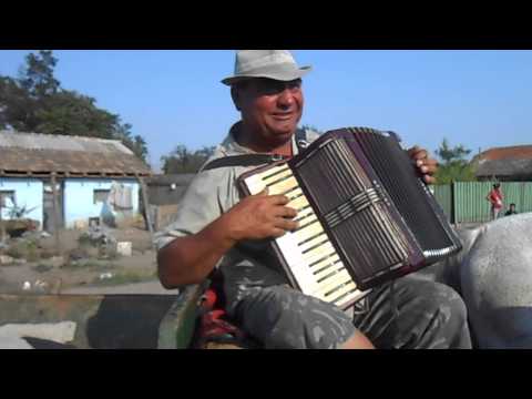 Maestrul CALIN de la GALBINASI