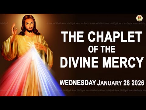 Chaplet Of The Divine Mercy I Wednesday January 28 2026 I Daily Divine Mercy Prayer