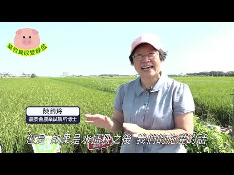 畜牧糞尿變綠金，田肥水清說分明
